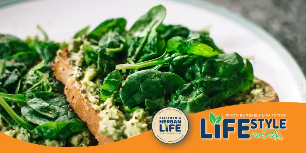 Vegan Protein Replacements: The Natural and Organic Options
