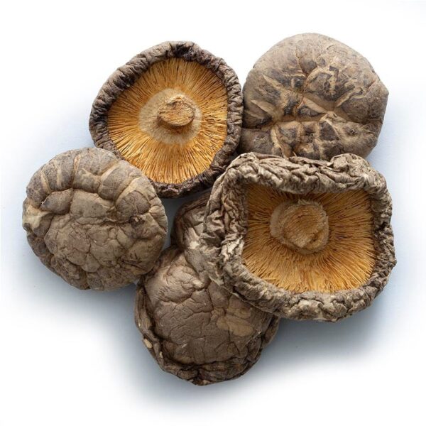 089836021274 frontier co op mushrooms shiitake whole 2127 pile.jpg