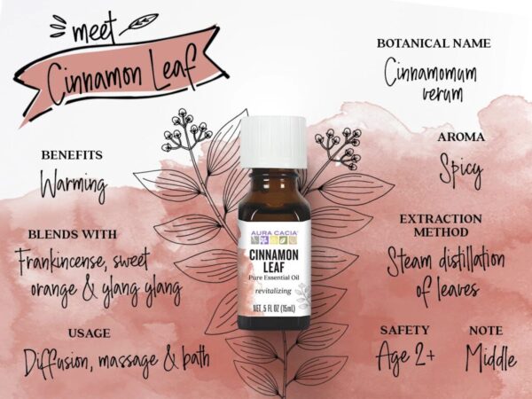 aura cacia essential oil cinnamon leaf, 0.5 oz