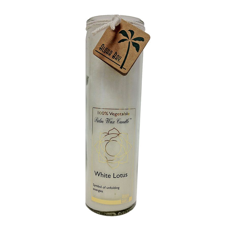 1 020100 unscented white 16 oz 237288 1.jpg