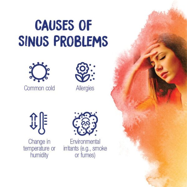 boiron sinuscalm 60 tablets
