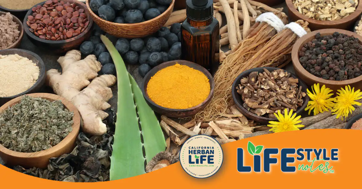 What Are Adaptogens And Are They Right For You?