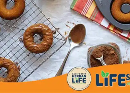 Gluten Free Pumpkin Donuts