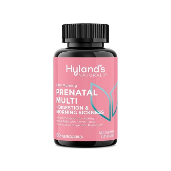 hylands naturals easy morning prenatal multi digestion morning sickness 60 count front 240057 1 1.jpg