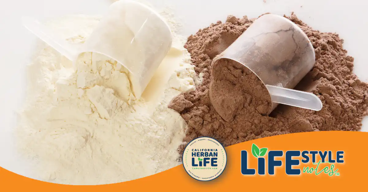 Benefits of Plant Protein Powders