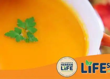 Pumpkin Soup