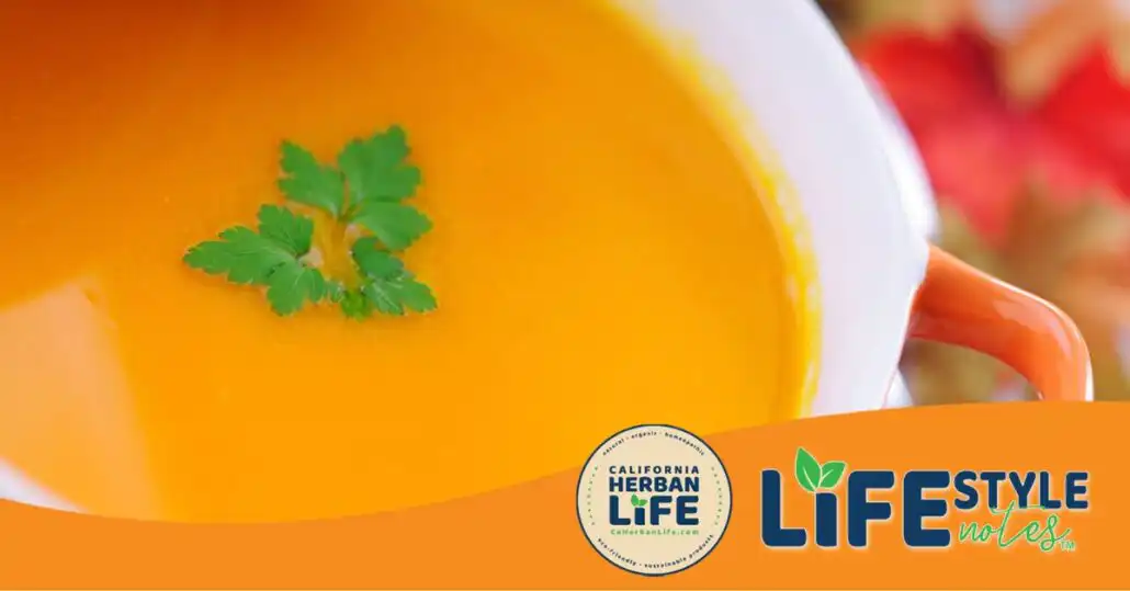 Pumpkin Soup