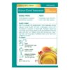 traditional medicinals organic reishi warming spice stress ease immune tea 16 count