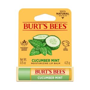 Burt's Bees Cucumber Mint Lip Balm 0.15 oz. blister box