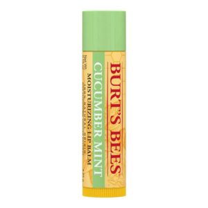 Burt's Bees Cucumber Mint Lip Balm 0.15 oz.