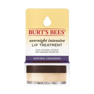 Burt's Bees Overnight Intensive Lip Treatment 0.25 oz.