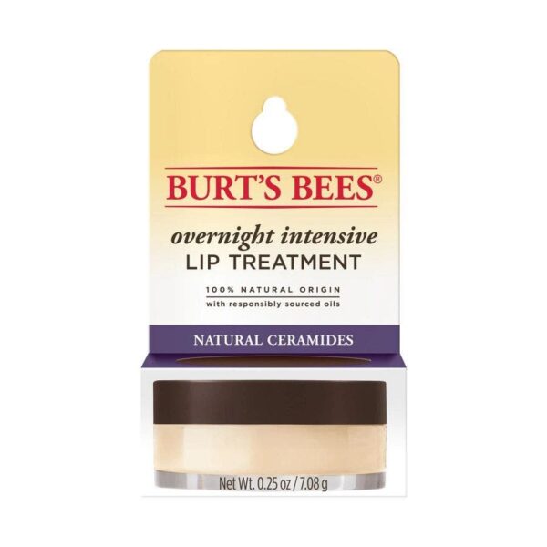 Burt's Bees Overnight Intensive Lip Treatment 0.25 oz.