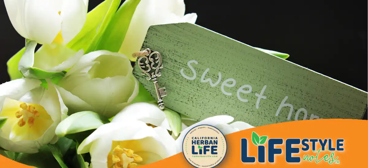Sweet Romance Diffusion
