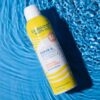 Seaweed Bath Co. Fragrance-Free Sheer Mineral Sensitive Sunscreen Spray SPF 50 6 fl. oz. - Image 2