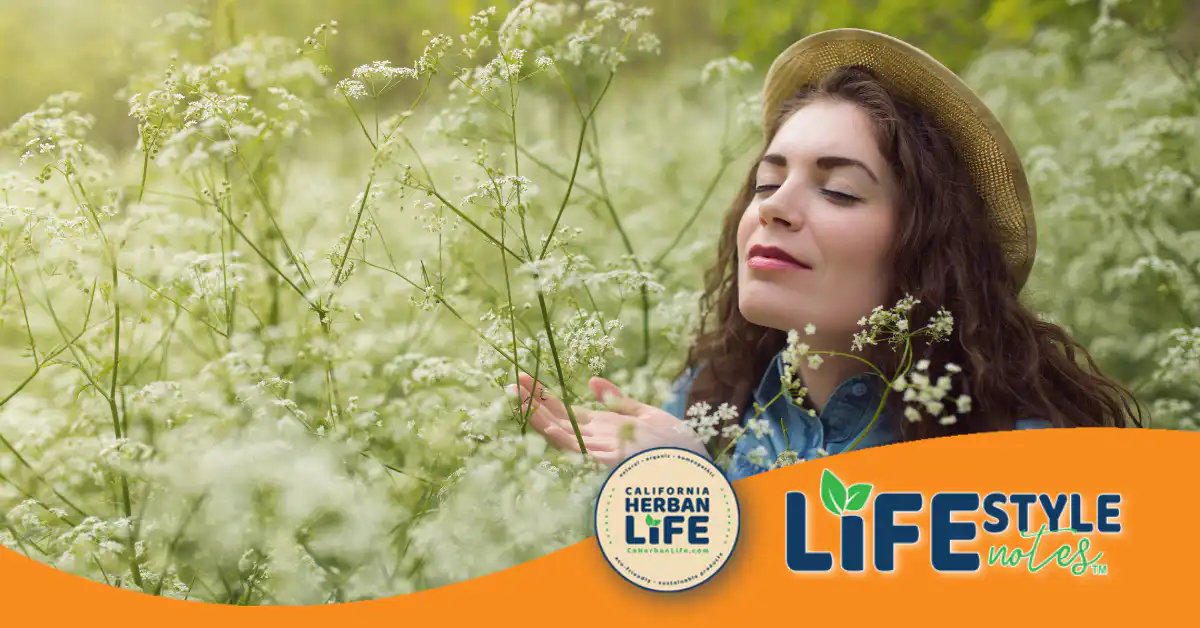 Cultivating Your Personal Freedom: Long-Term Wellness Habits with Nature’s Support