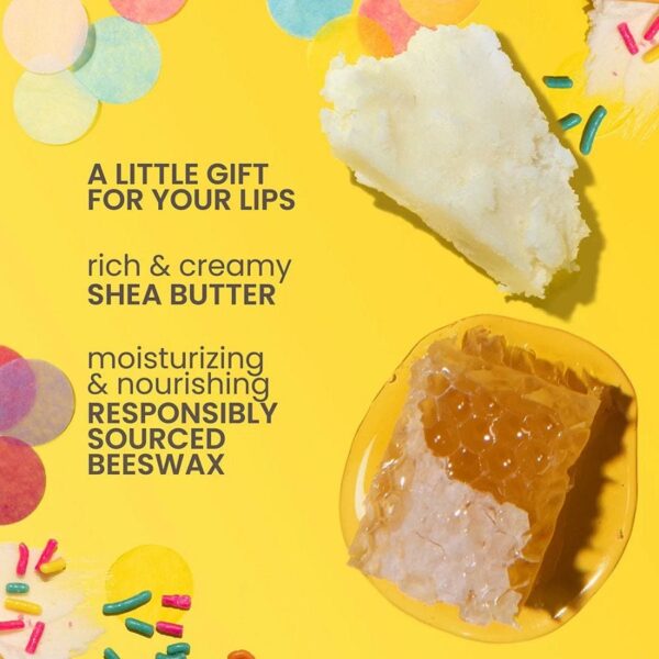 Burt's Bees Party Pack Lip Balms 4 (0.15 oz.) tubes in blister box - Image 5