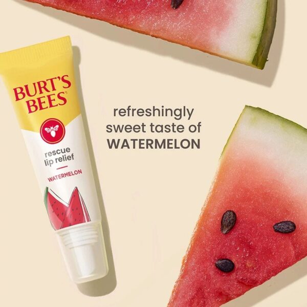 Burt's Bees Watermelon Rescue Lip Relief 0.35 oz. - Image 3