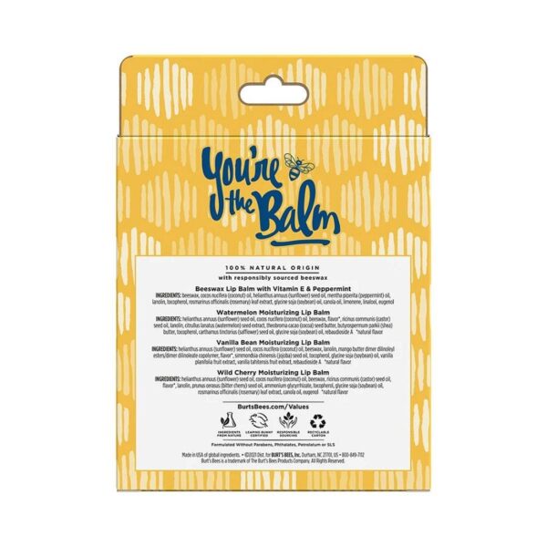 Burt's Bees You're the Balm Lip Balms 4 (0.15 oz.) tubes in blister box - Image 2
