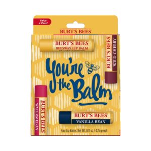Burt's Bees You're the Balm Lip Balms 4 (0.15 oz.) tubes in blister box