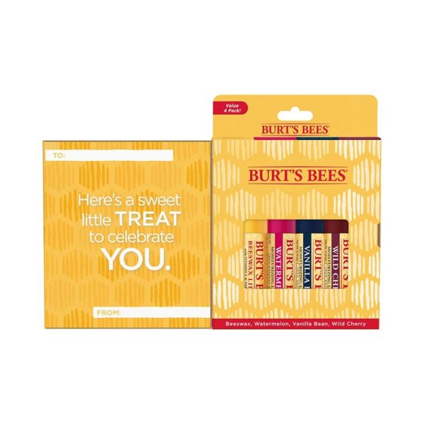 Burt's Bees You're the Balm Lip Balms 4 (0.15 oz.) tubes in blister box - Image 3