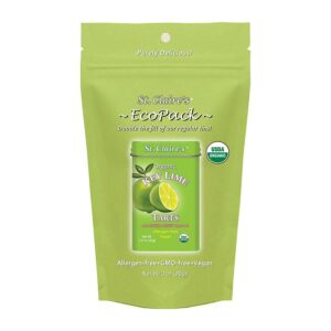 St. Claire's Organics Key Lime Fruit Tarts Eco-Pack 3 oz. bag