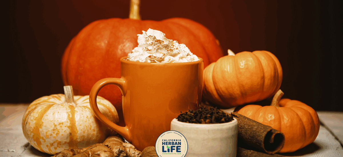 Beyond the Latte Pumpkin Spice