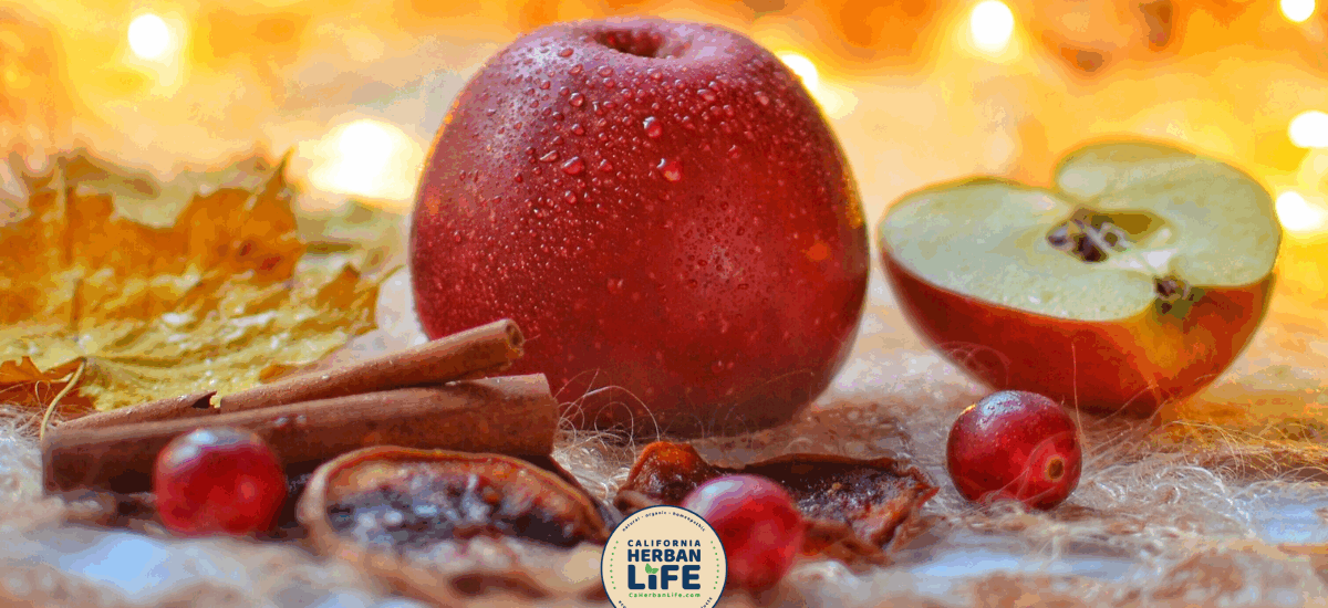 DIY Apple & Cinnamon Air Freshener