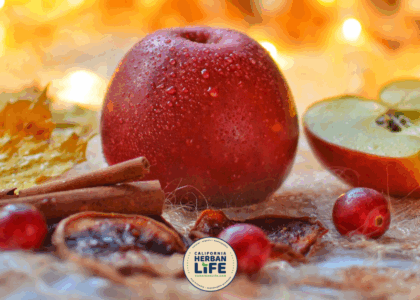 DIY Apple & Cinnamon Air Freshener