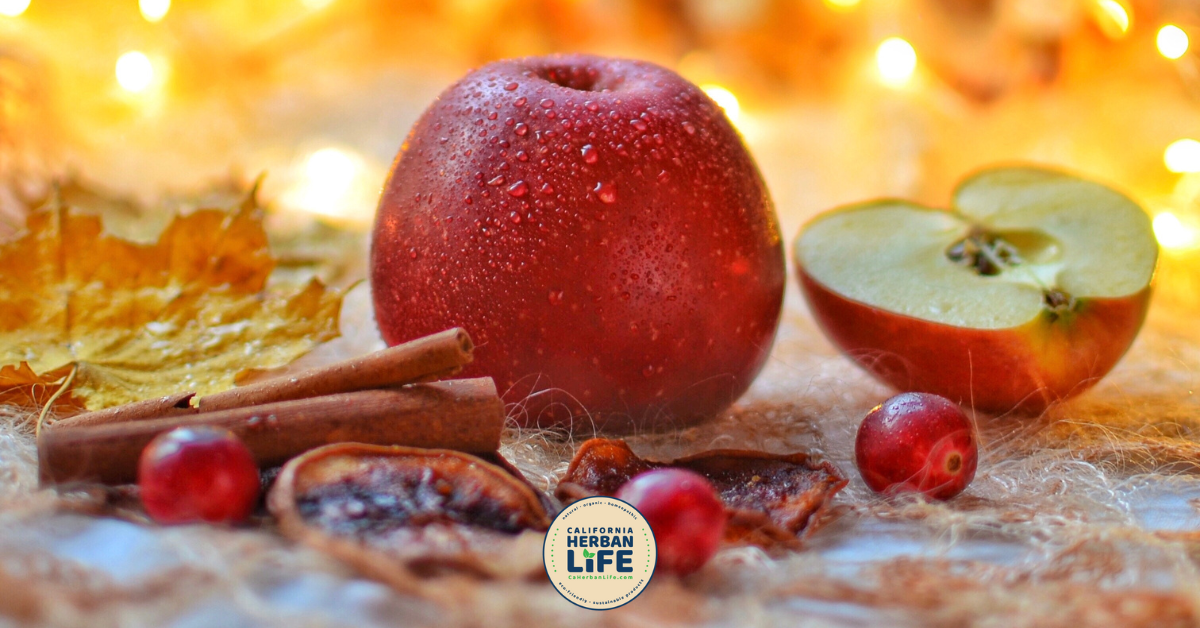 DIY Apple & Cinnamon Air Freshener