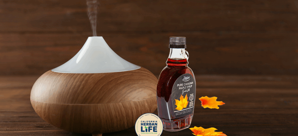 Sweet Maple Diffusion