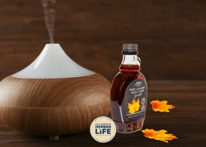 Sweet Maple Diffusion