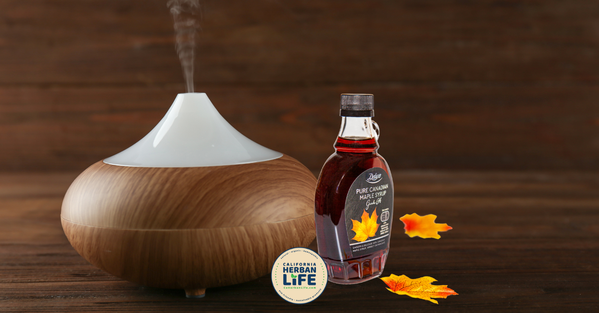 Sweet Maple Diffusion