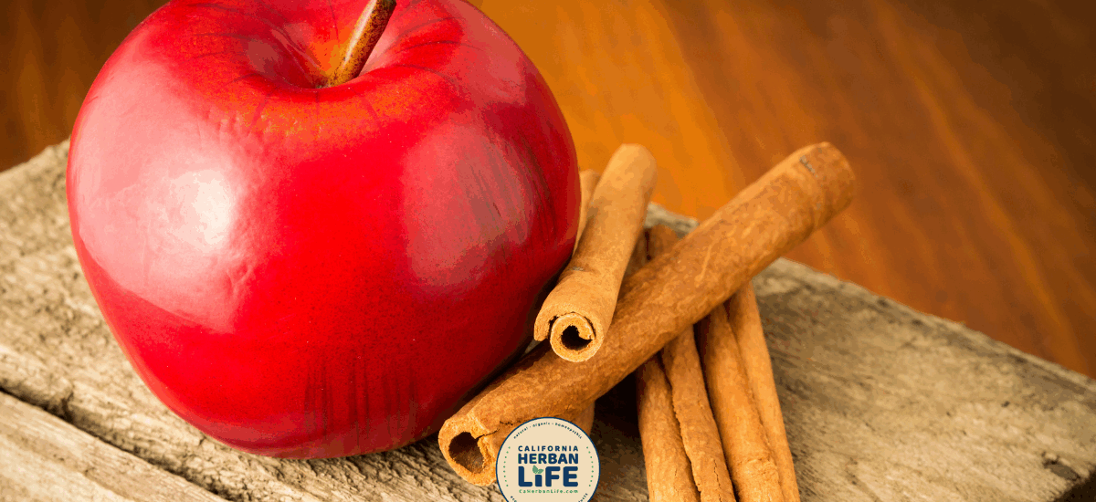 fall Duo Apple Cinnamon