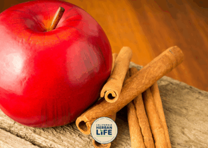 fall Duo Apple Cinnamon