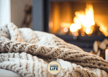 Cozy Comfort Diffusion