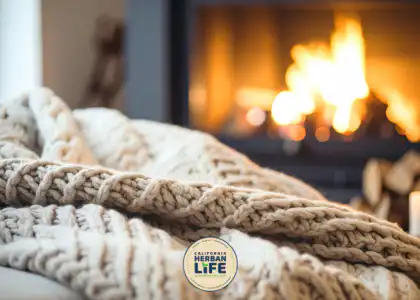 Cozy Comfort Diffusion