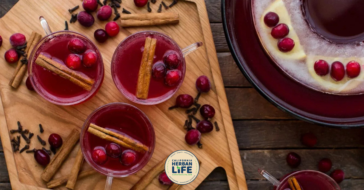 Cranberry Clove Spiced Rum Punch