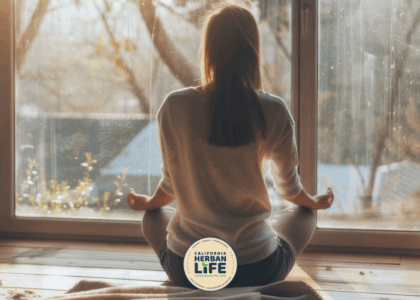 Peaceful Mind Diffusion