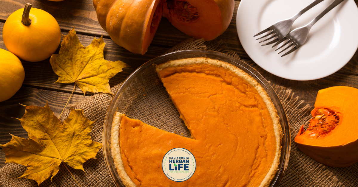 Pumpkin Pie Diffusion