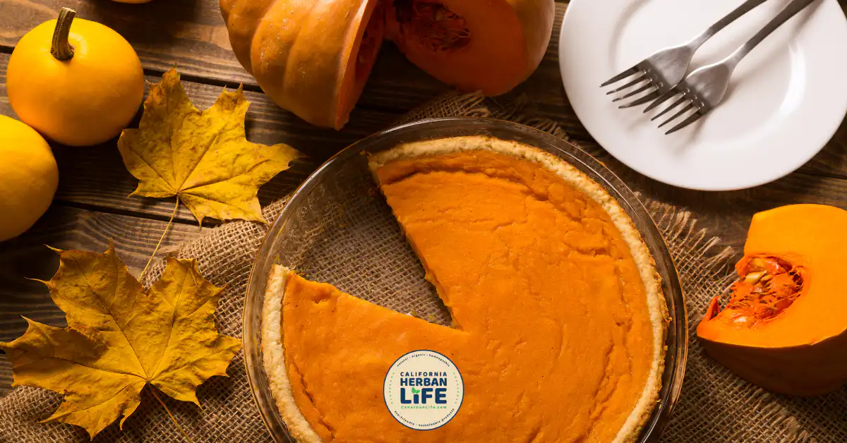 Cozy Pumpkin Pie Diffusion