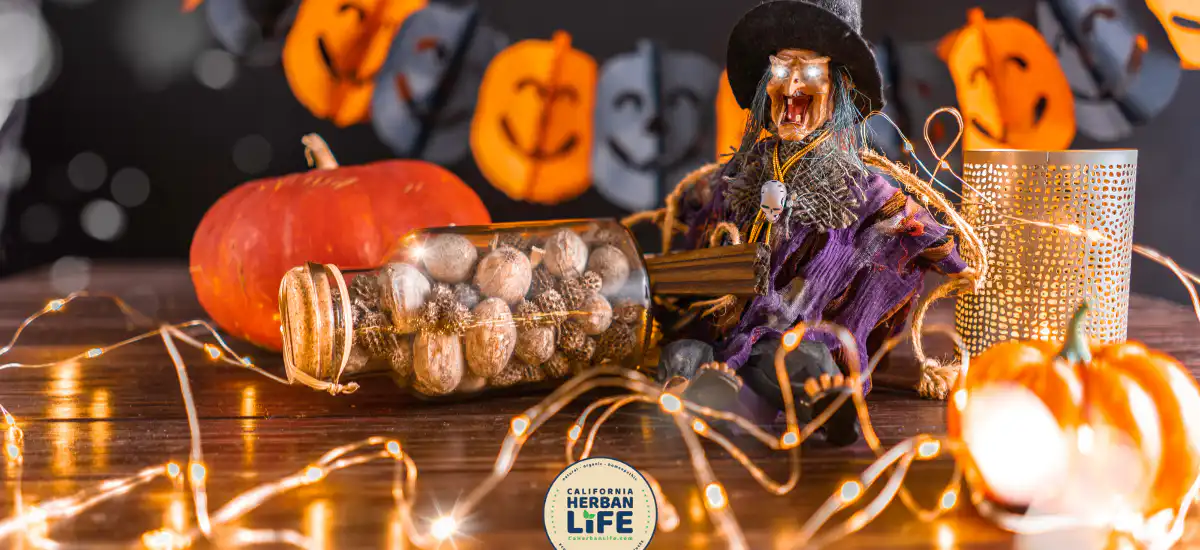 Spooky-Scented Solutions: Creating a Haunted Home with Essential Oils