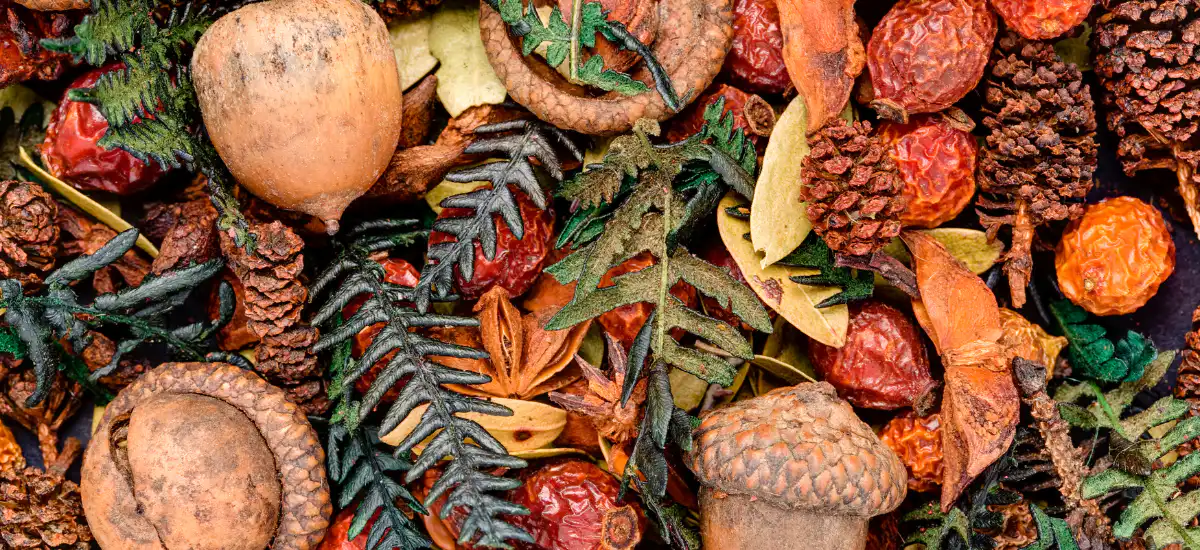 Stovetop Potpourri