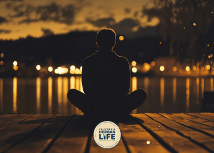 Thankful Spirit Diffusion