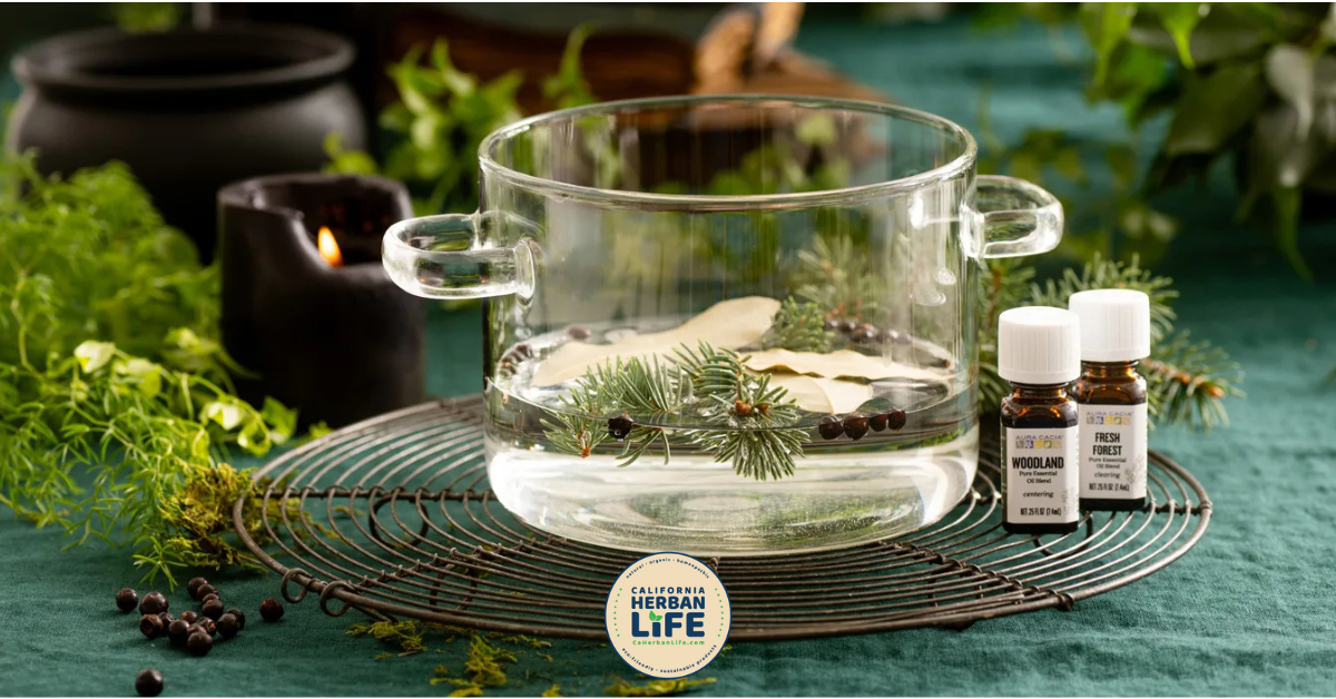 walk in the woods simmer pot