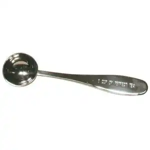 Frontier Co-op Stainless Steel Tea Scoop 5