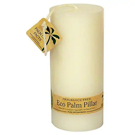Aloha Bay Unscented White Pillar Candle 2.25 x 5