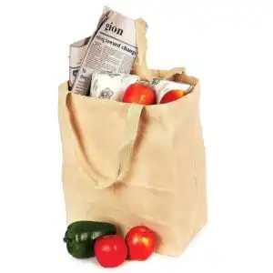 EcoBags EveryDay Tote Bag 19 x 15 1/2