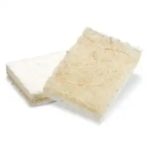 Full Circle Coconut Scrub Sponge – 2 count