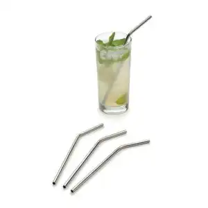 Frontier Co-op Stainless Steel Drink Straws 8 1/2