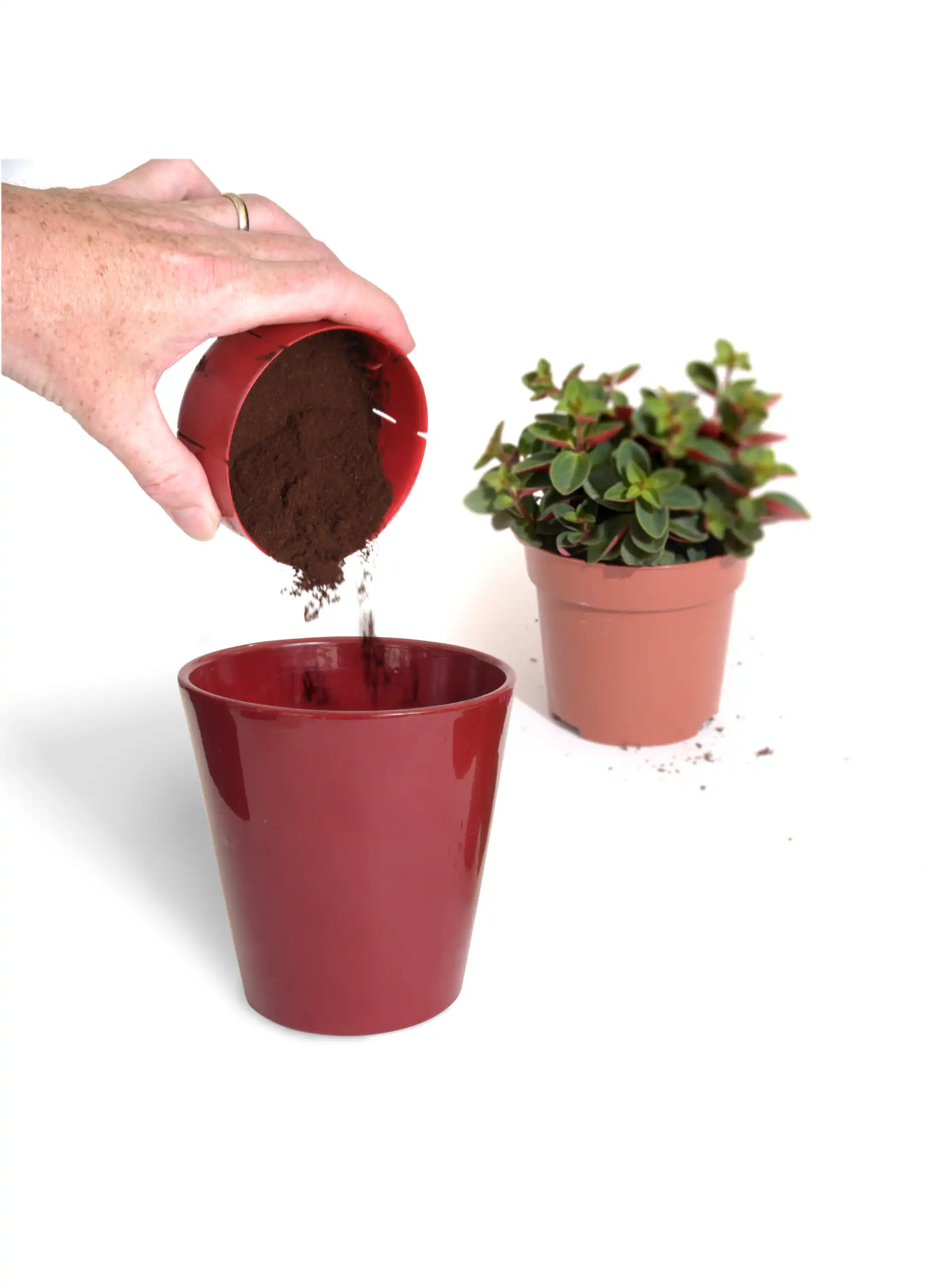 Aerolatte Grounds Catcher 3.5" x 3.5" x 1.75" - Image 9